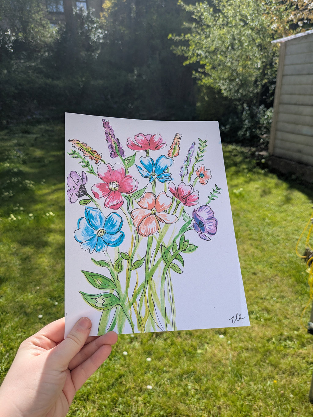 Hand-Drawn Floral Art Print – Colourful Wildflower Illustration (B4, A5, 7x7")