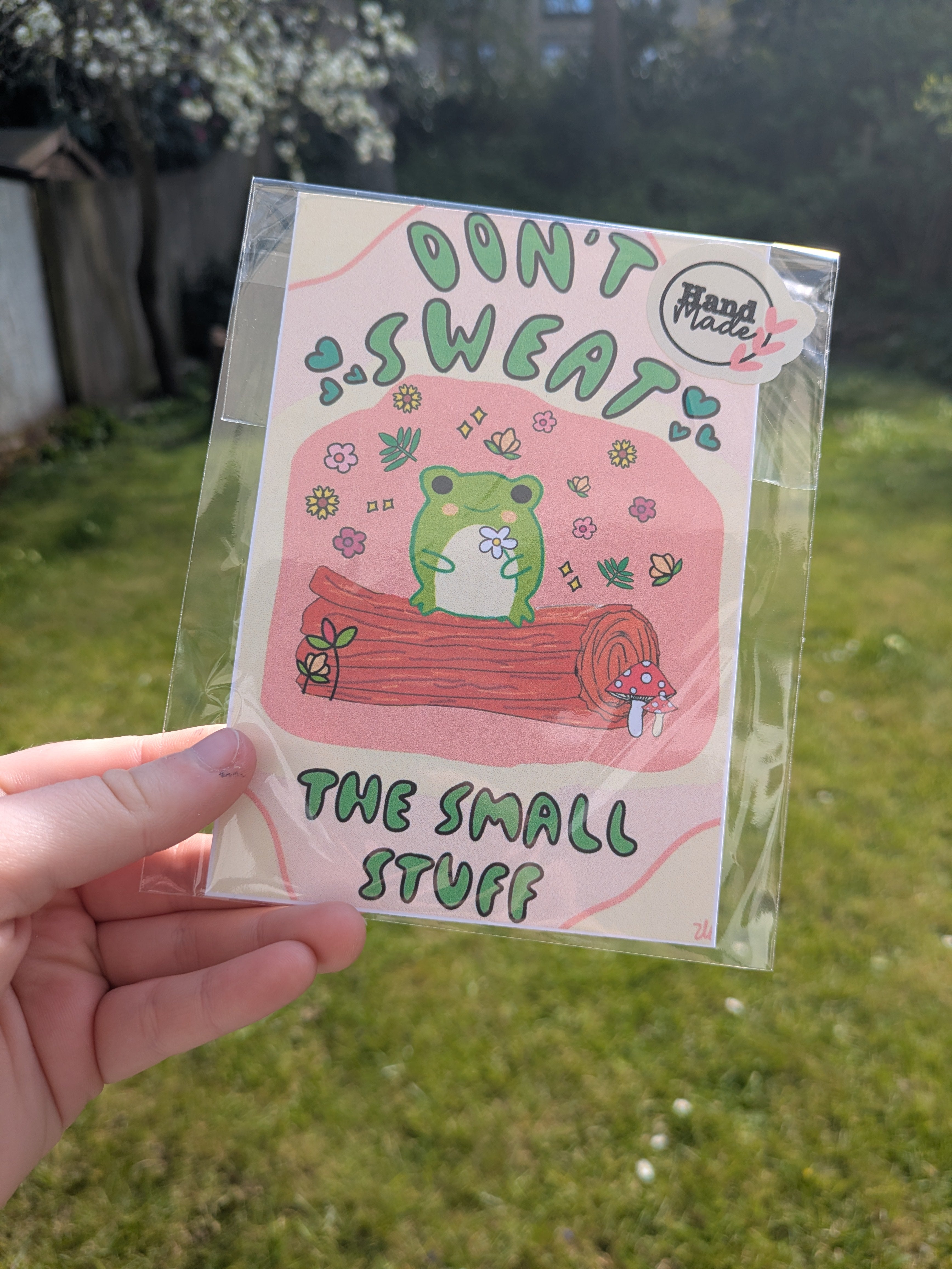 Don’t Sweat the Small Stuff Frog Print – Cute Motivational Wall Art 🐸✨