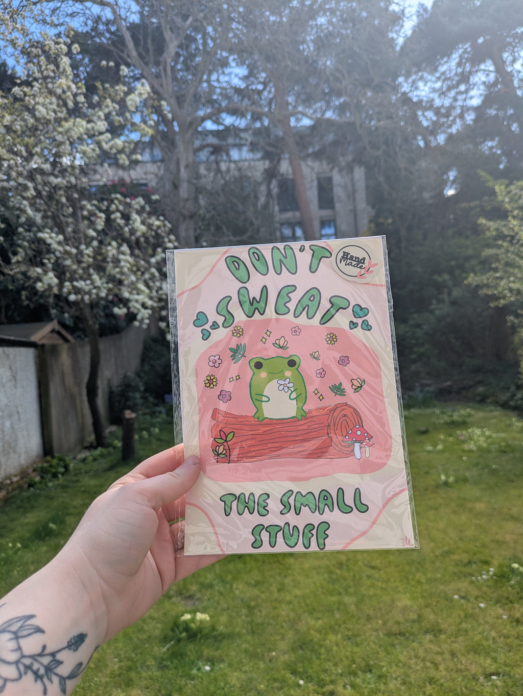 Don’t Sweat the Small Stuff Frog Print – Cute Motivational Wall Art 🐸✨