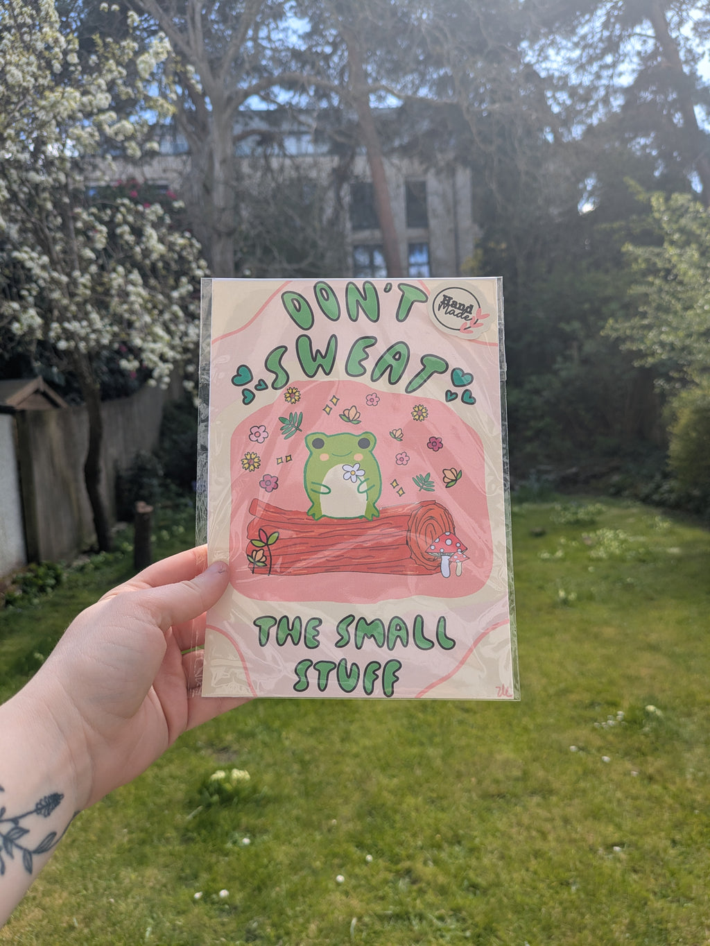 Don’t Sweat the Small Stuff Frog Print – Cute Motivational Wall Art 🐸✨